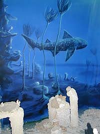 Riffmuseum